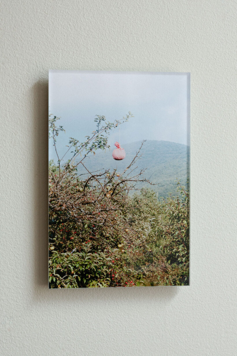 ananyatanttu_photographs_silisec_print_lokalhelsinki2025-6