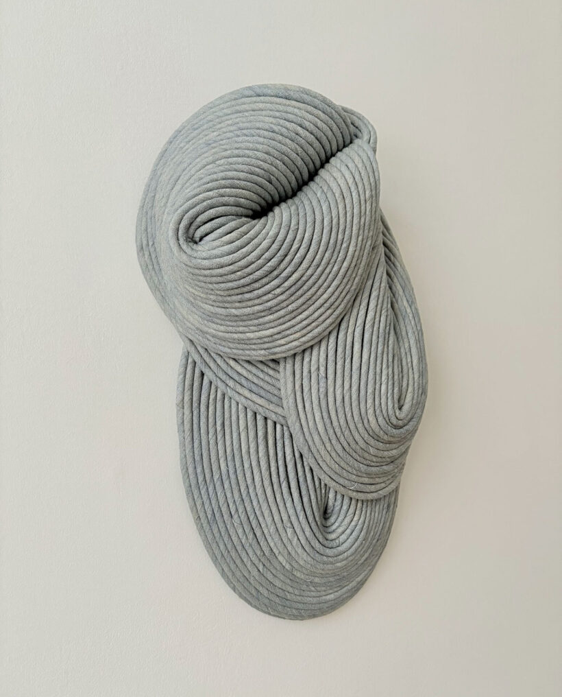 Sini-Villi_Glacier_2026_side2